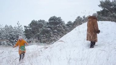 kız anne ve köpek yürümek karlı kış park, mutlu bir aile ve kışın Park'ta yürüyordunuz köpek