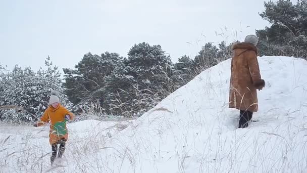 女孩与妈妈和狗走在下雪的冬季公园、 幸福的家庭和在冬天在公园里遛狗 — 图库视频影像