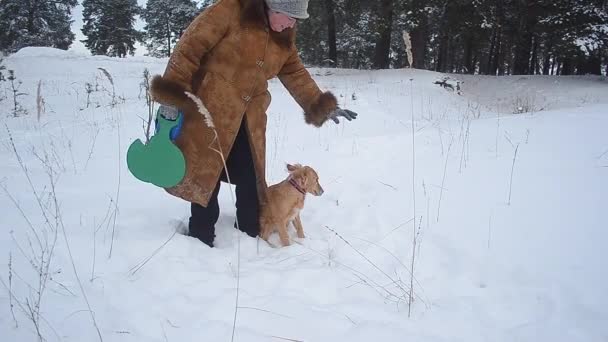 Nainen leikkii koiran kanssa lumisessa talvipuistossa, kotimainen koira kävelee lumisessa metsässä talvella — kuvapankkivideo