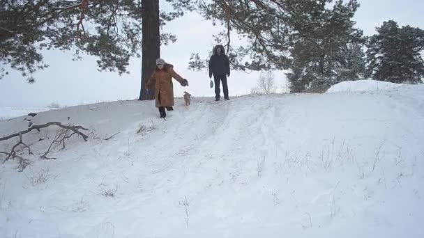 犬を持つ女性は、ウィンターパーク、男と女犬、冬の森と雪に覆われた公園を歩いて — ストック動画