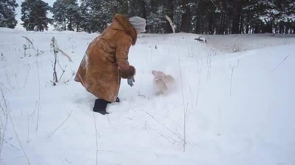 Donna che gioca con il cane in un parco invernale innevato, passeggiata del cane domestico nei boschi innevati in inverno — Video Stock