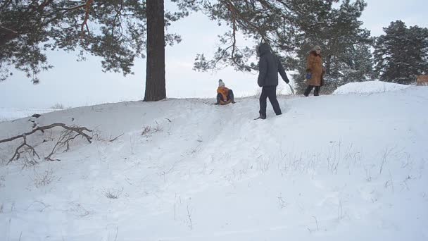 Семейный отдых зимой с собакой в парке, мужчина убирает кучу снега, зимний лес . — стоковое видео