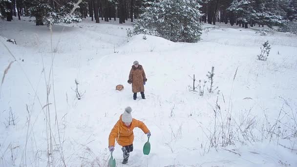 Teenager-Mädchen zu Fuß im Winterpark, ein Mädchen kommt auf einen verschneiten Hügel, ein Familienspaziergang im Winter im Park — Stockvideo