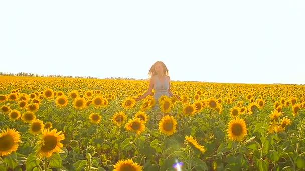 Bella ragazza va cherz campo di girasoli gialli, fiori di girasole ondeggianti nel vento, sole splende brillantemente — Video Stock
