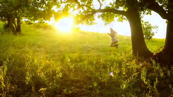 Girl swinging on wooden swing at dawn — Stock Video