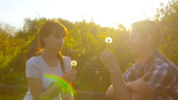 Fille et garçon soufflant une fleur de pissenlit, graines de pissenlit volent au soleil, homme heureux et femme dans le parc au printemps . — Video