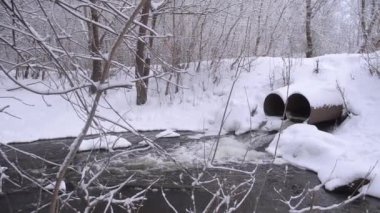 Platin kış orman, eriyen kar, su akışı içinde ağaçlar karla kaplı.