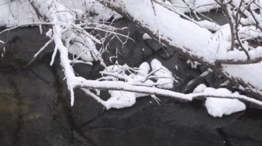 soğuk creek Bahar, kar ve buz, kaplı kıyı ağaçlar su, orman kar Falls'ta düşmüş..