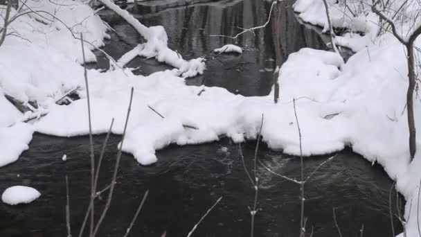 Quellfluss aus dem schmelzenden Schnee, das Flussufer mit Schnee und Eis bedeckt, der schneebedeckte Winterwald. — Stockvideo