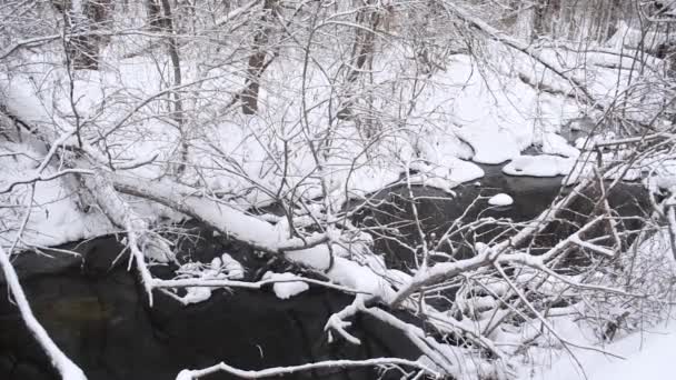 belle rivière dans la forêt d'hiver, écoulement printanier de la neige fondante, arbres couverts de neige, beau parc d'hiver .