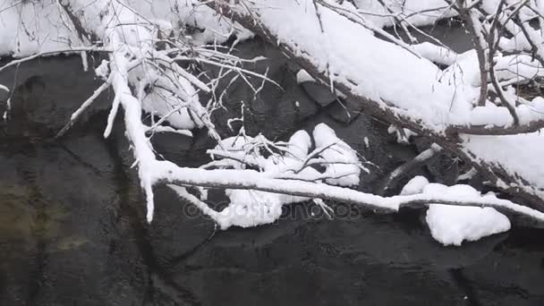 Kalte Bachquelle, das Ufer mit Schnee und Eis bedeckt, umgestürzte Bäume im Wasser, Schnee fällt im Wald. — Stockvideo