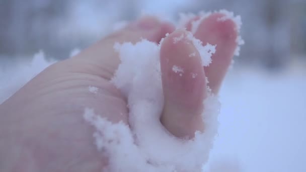 Χιόνι στο το επανδρώνει το χέρι, το πρώτο χιόνι από την πλευρά, γκρο πλαν. — Αρχείο Βίντεο