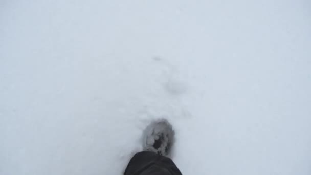 Nogi człowieka idącego w śniegu, człowiek idzie przez głęboki śnieg. — Wideo stockowe