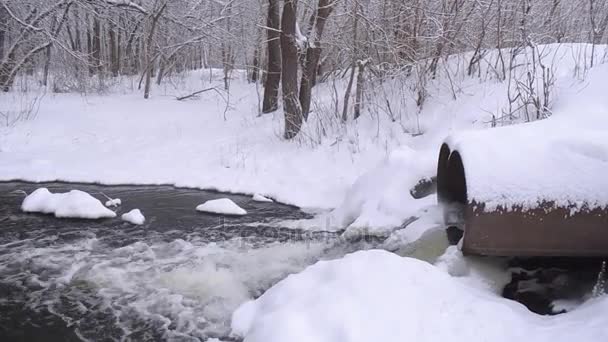 Voda vypouštění potrubí platinové v zimním lese, proud vody z tajícího sněhu, stromy pokryté sněhem. — Stock video