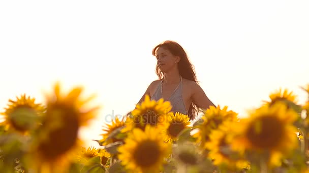 Schöne Mädchen mit fliegenden Haaren im Wind, zu Fuß in einem Feld von gelben Sonnenblumen, schöne Feld mit goldenen Farben von der Sonne erleuchtet. — Stockvideo