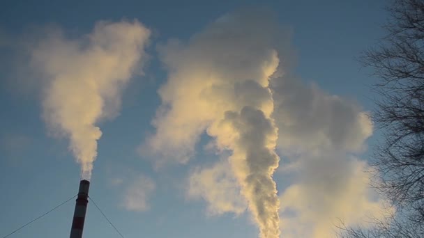 Fumo bianco dalle pipe contro il cielo blu, produzione di energia e inquinamento atmosferico — Video Stock