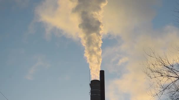 Witte rook uit de leidingen tegen blauwe hemel, de uitstoot van kooldioxide in de atmosfeer. — Stockvideo