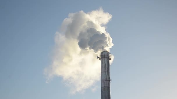 Білий дим від заводських димоходів, що піднімаються на блакитне небо, вироблення електроенергії та забруднення повітря та атмосфери . — стокове відео