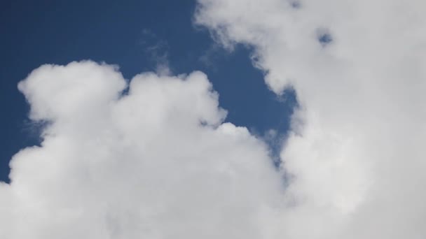 Alto en el cielo nubes voladoras iluminadas por el sol hermoso cielo azul — Vídeo de stock
