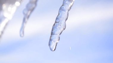 Damlama buz sarkıtları, buz sarkıtları, çatıdan asılı saçağı eriyor