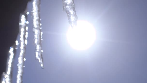 Eiszapfen schmelzen, Eiszapfen hängen vom Dach, tropfende Eiszapfen, Springtropfen. — Stockvideo