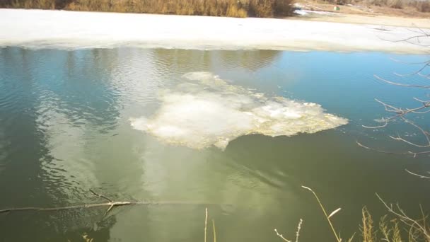 Παγετώνας αιωρούμενη στον ποταμό την άνοιξη, τήξη των πάγων στις όχθες του ποταμού της — Αρχείο Βίντεο