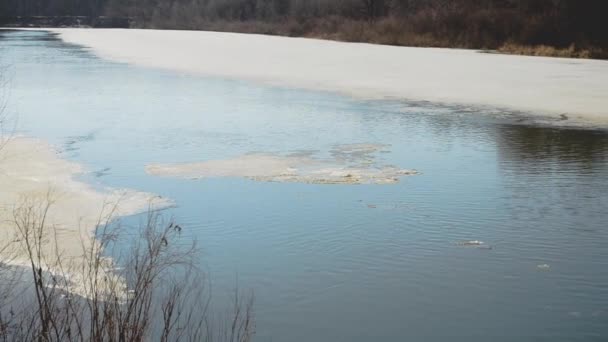 Λιώσιμο των πάγων στις όχθες του ποταμού, παγετώνας αιωρούμενη στον ποταμό την άνοιξη — Αρχείο Βίντεο