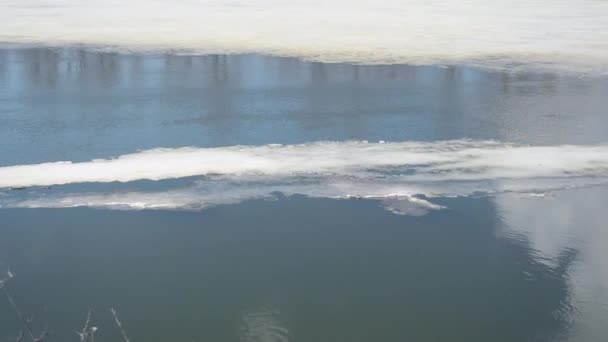 春、川に浮かぶ流氷川の氷の融解 — ストック動画