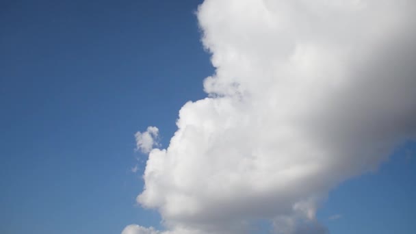 Prachtige grote witte wolk is vliegen hoog in de blauwe hemel — Stockvideo