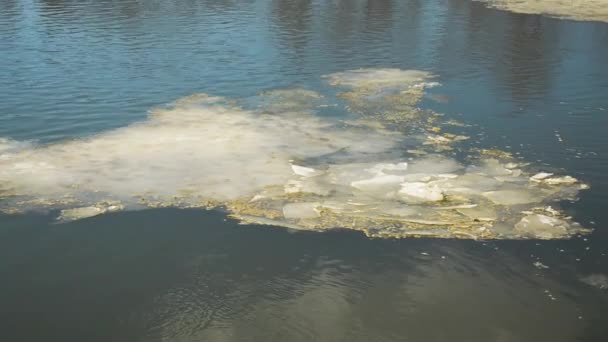 Melting of ice on the river, floe floating on river in spring — Stock Video