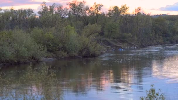 Rivière en forêt printanière, touristes canoë sur la rivière . — Video