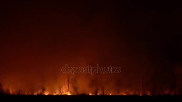 Вогонь у лісі вночі, палаюча деревина і суха трава, дим і іскри піднімаються в небо — стокове відео