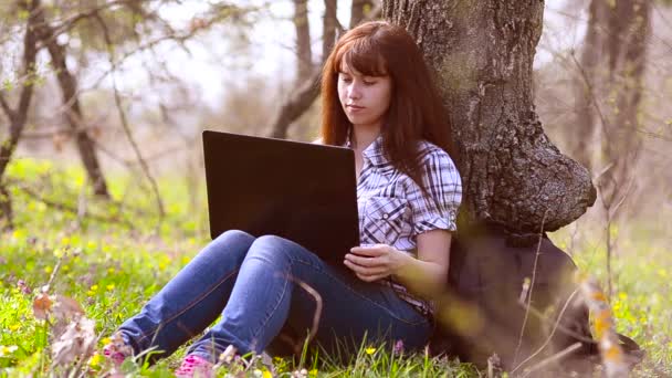 Chica con teléfono mantener la correspondencia de negocios en Park en la computadora en línea — Vídeos de Stock