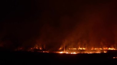 Orman, orman geceleri yanan firestorm.