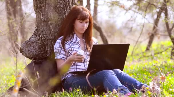 Девушка с мобильным телефоном в парке работает на ноутбуке — стоковое видео