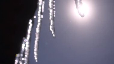 Icicle'ı çatıdan asılı. Buz sarkıtları damlama. Eriyen buz sarkıtları. Bahar damla.