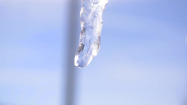 Pingando icicles, derretendo ciclos, gotas de primavera . — Vídeo de Stock