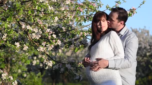 Marido abraçando esposa grávida no floração primavera parque — Vídeo de Stock