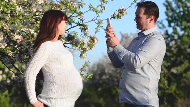 Marido fotos de teléfono esposa embarazada en el florecido parque de primavera, feliz pareja esperando un hijo — Vídeos de Stock