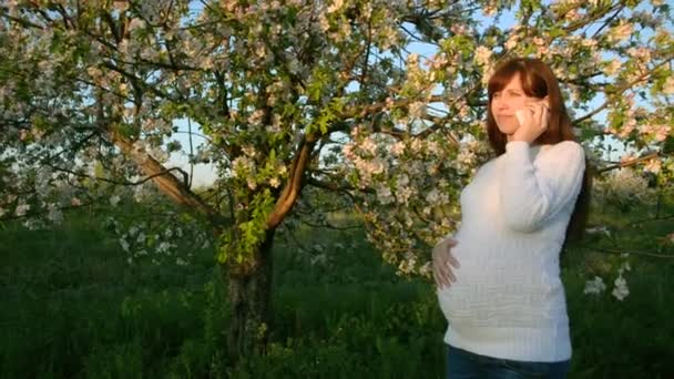 Gravid flicka pratar telefon i blommande Park under våren flicka promenader i blommande äppelträdgård — Stockvideo