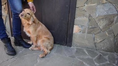köpek sahibi açık kapıda karşılıyor.