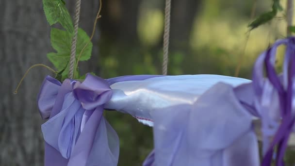 Schaukel auf blumengeschmücktem Baum, blaues Band mit roten Blumen — Stockvideo