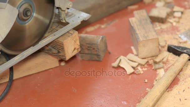 Werknemer zagen een cirkelzaag houten detail close-up, kantooronderhoud. — Stockvideo