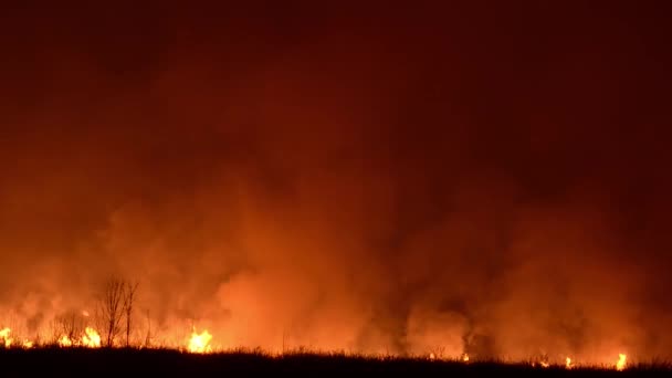 Vuur verbrandt bos, brandweerman dooft brand — Stockvideo