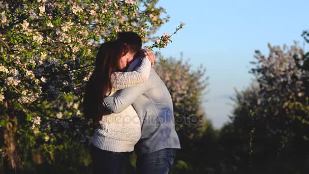 Echtgenoot van knuffelen zwangere vrouw in bloemrijke Park in het voorjaar — Stockvideo