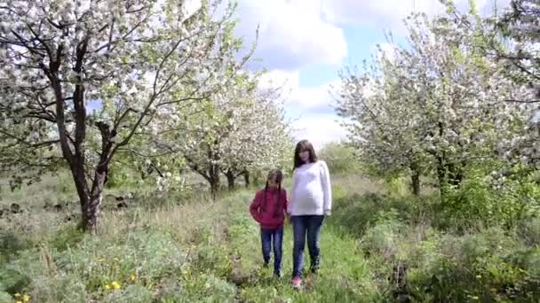 Вагітна мама веде свою доньку до розквітлого весняного парку. Сімейна прогулянка квітучим садом яблуні навесні — стокове відео