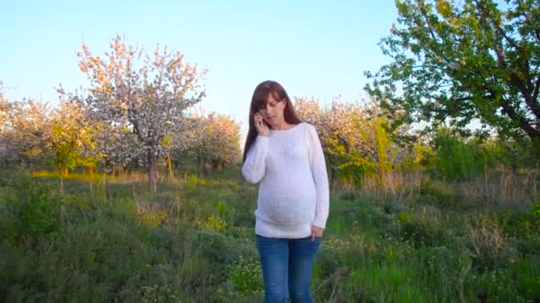 Chica embarazada hablando por teléfono en el parque de primavera florecido, chica con teléfono caminando en el jardín florecido en la primavera — Vídeos de Stock