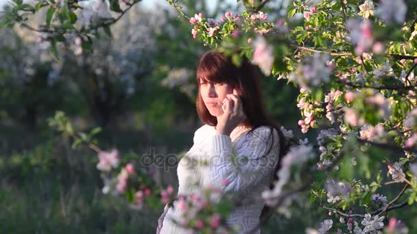 Zwangere vrouw praten over telefoon in bloeiende appelboomgaard, meisje wandelingen in de ochtendschemering lente Park, close-up — Stockvideo