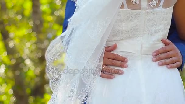 Novio abraza novia en el parque en verano, primavera. pareja enamorada abrazándose en el jardín de verano — Vídeos de Stock