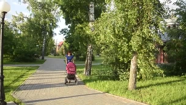 Piękna młoda matka schodzi z wózek dla dzieci w parku, rodzinne wakacje w dzień w lecie — Wideo stockowe